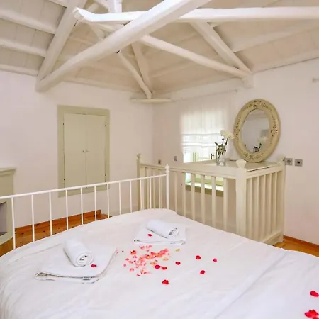 Villa Olivia *