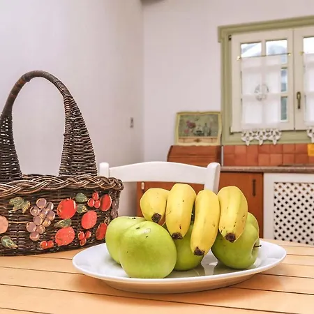 Villa Olivia Skopelos